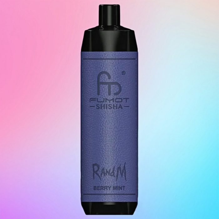 Randm Shisha 10K Berry Mint Geschmack - Randm Vape